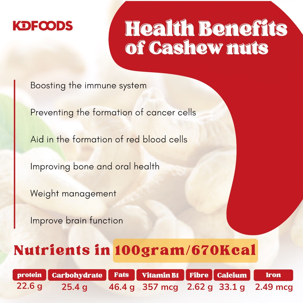 KDFOOD Vietnam Premium Roasted Cashew Nuts Jumbo XL Size 500G - JoonaCare.Shop